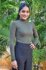 Punarnavi Bhupalam Interview About Pittagoda